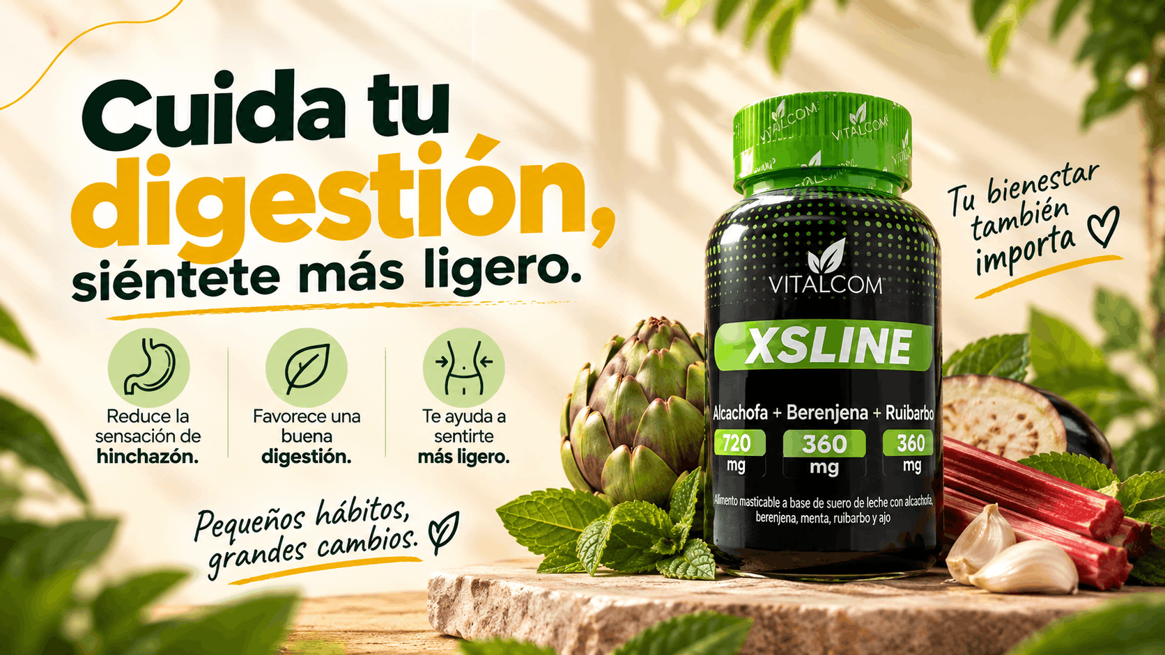 xsline-vitalcom